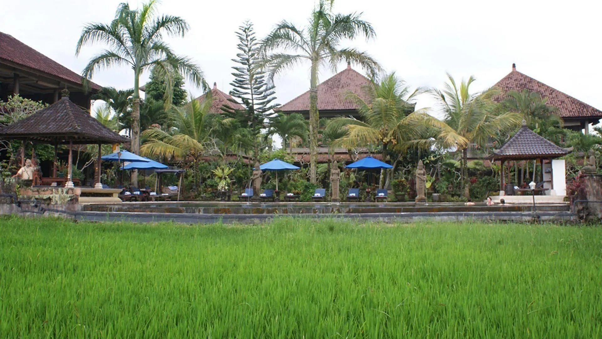 Cendana Resort & Spa By Mahaputra Ubud  Ubud (Bali)