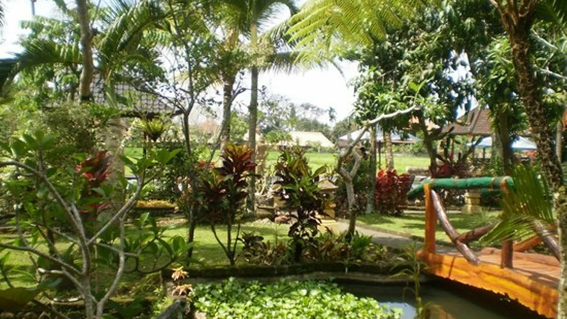 Cendana Resort&Spa Ubud